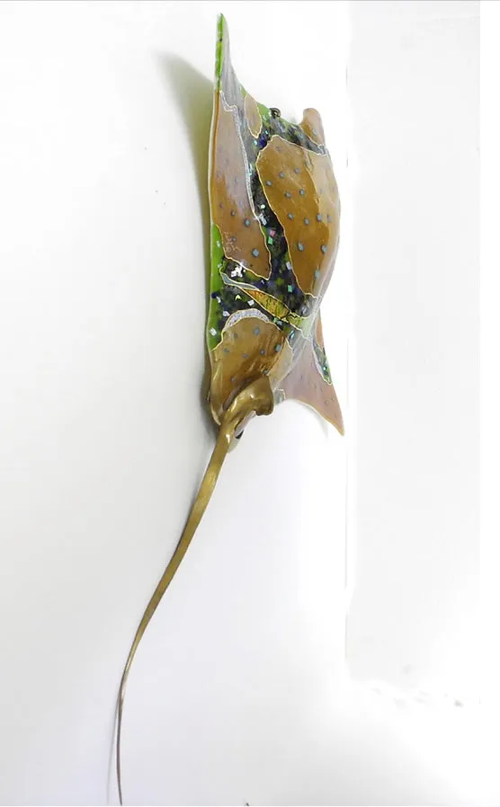 Amber Eagle Ray