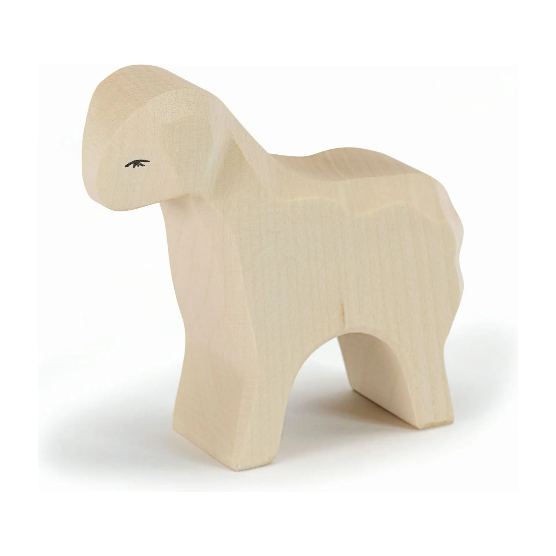 Ostheimer Sheep Standing