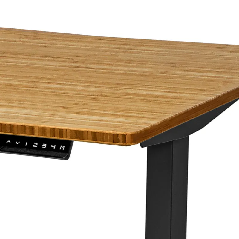 Standing Desk (Worksurface)