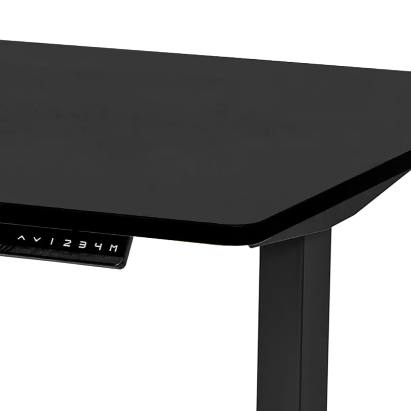 Standing Desk (Worksurface)